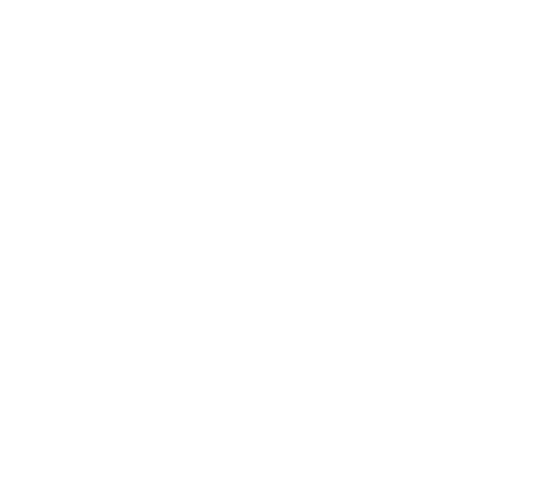 Dr Animesh Das